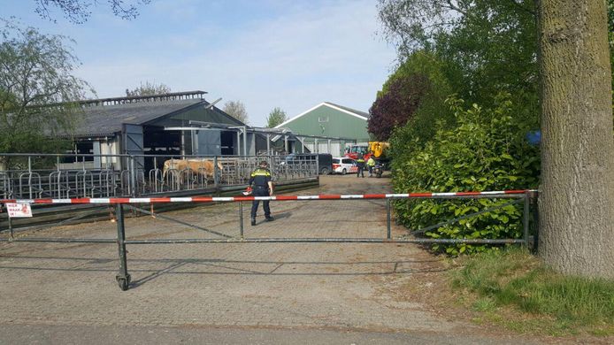 Bij een bedrijfsongeval in Toldijk is een man overleden.