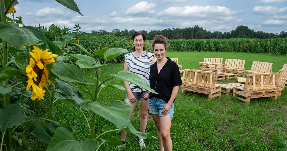 Zomers borrelen in een graancirkel | Breda | bndestem.nl - BN DeStem