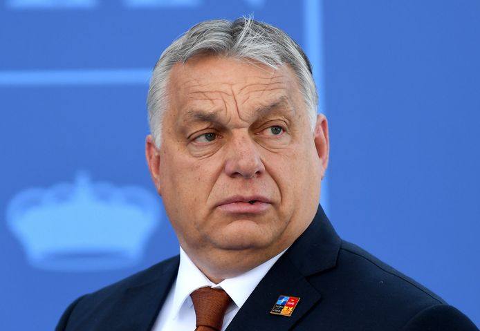 De Hongaarse premier Viktor Orban streeft naar eigen zeggen een “illiberale democratie” na.