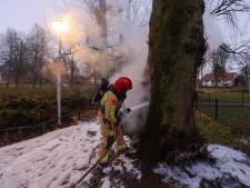 Brandweer rukt drie keer uit voor brandende boom in Eindhoven