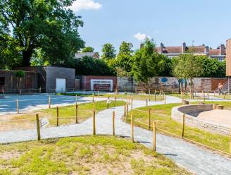 Haven en Merksemse basisschool ontvangen 40.000 euro klimaatpremie voor aanleg groendak en groene speelplaatsen