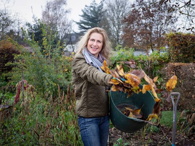 Hoe bescherm je vorstgevoelige planten als de temperaturen een duik nemen? “Laat ze niet overwinteren in de huiskamer”