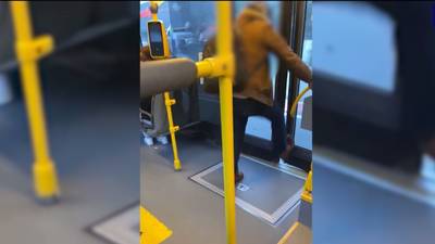 KIJK. Agressieve passagier zet bus van De Lijn op stelten in Halle