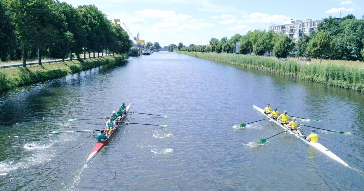 In één rechte lijn over de Zuid-Willemsvaart knallen in een roeiboot ...