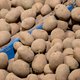 Eet je jong: met deze 10 ingrediënten rem je het verouderingsproces