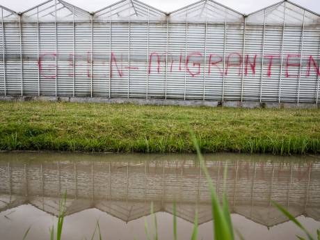 Buurgemeenten wachten al tien jaar op actie Westland bij huisvesting arbeidsmigranten