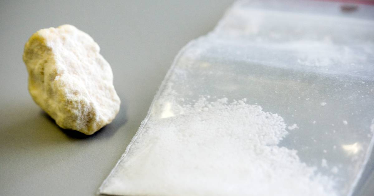 Drie jaar cel voor Reeuwijker en Berkenwoudenaar na invoeren van 268 kilo coke vanuit Zuid-Amerika