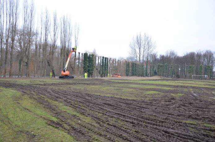 Voetbalveld Ter Beuken Herleid Tot Modderpoel Lokeren Hln Be