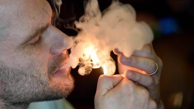 Legale wietteler Cannamax bijna startklaar en dat levert honderd banen op: ‘Enorme boost voor de regio’ 