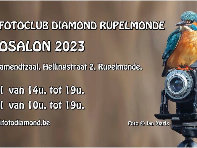 Digi- en Fotoclub Diamond organiseert fotosalon