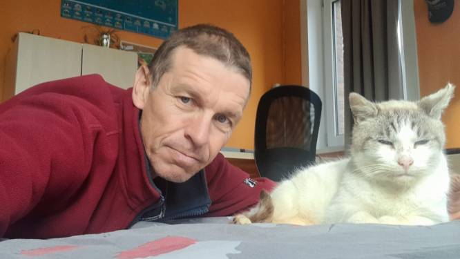 Jempie de kater keert na 3 jaar terug naar huis: “Onze nieuwe kat Nellie is niet zo blij”