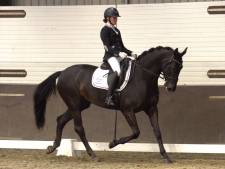Samantha Osté steelt de show in Heinkenszand (maar de cup is voor een ander)