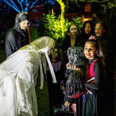 Terror Nights stapt - zonder advocaat - naar de rechter om gemiste subsidie van tien mille en krijgt