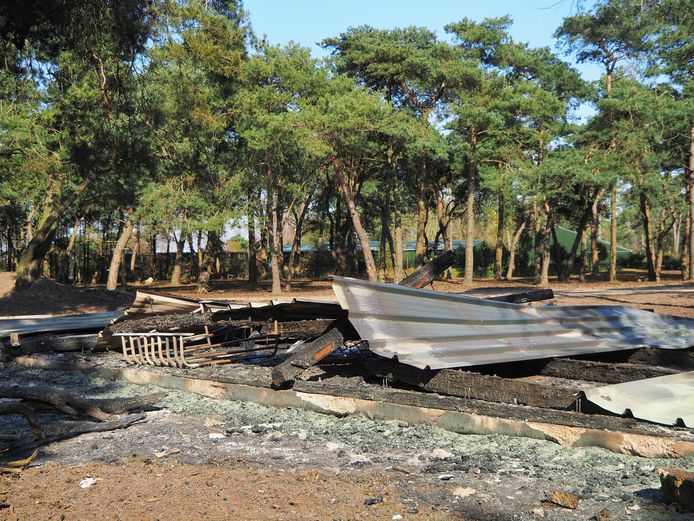 Tien dieren komen om bij aangestoken brand in Beekse Bergen.