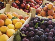 Aardbeien, bramen, abrikozen: hier komt ons zomerfruit vandaan