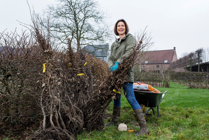 Tuinexperte Laurence Machiels