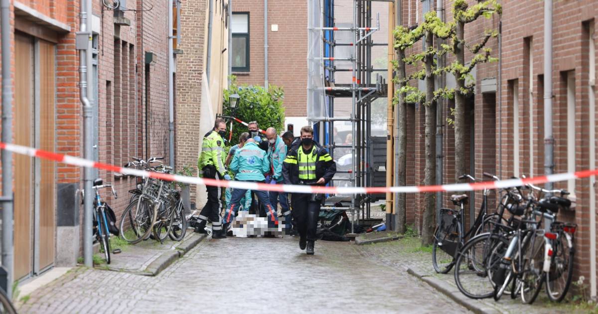 Nieuws gemist? Dodelijke steekpartij in Zwolle en feestende meute weigert te vertrekken in Deventer. Dit en meer in jouw overzicht.
