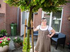 Desiree: ‘Ik heb weinig inkomsten omdat het UWV vond dat ik gewoon kan werken’