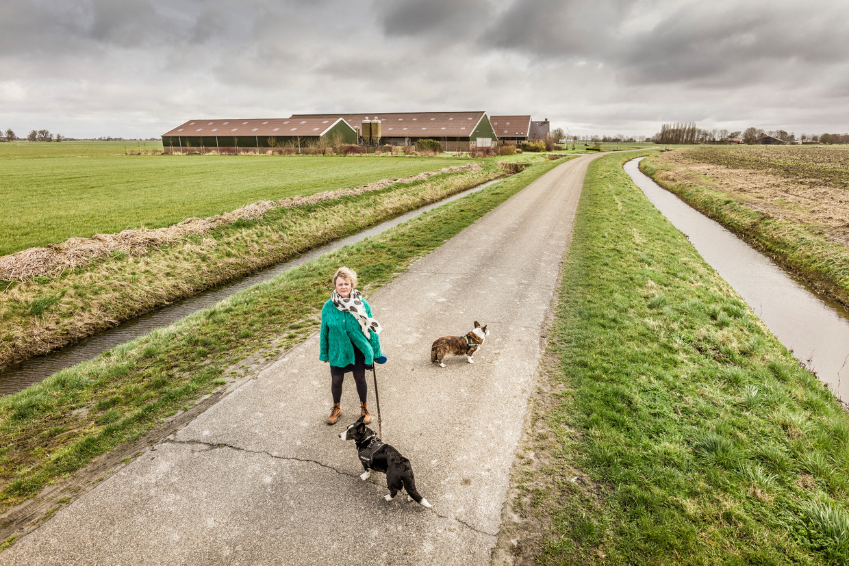 Jantien de Boer, met op de achtergrond één van de grootschalige boerderijen die in de plaats zijn gekomen van de traditionele boerderijen. Beeld Sjaak Verboom