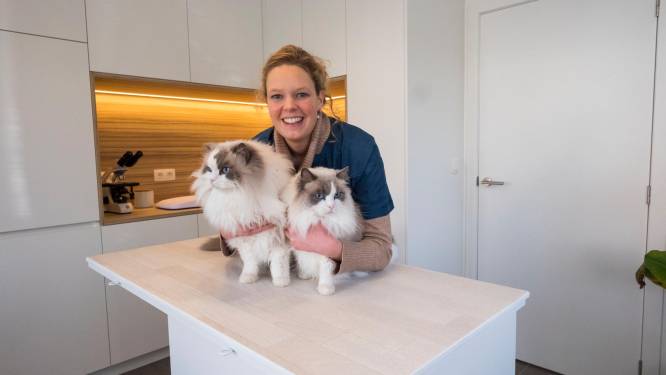 Eerste poezendokter opent eigen praktijk