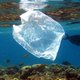 Gaat de natuur ons een handje helpen om plastic afval op te ruimen?