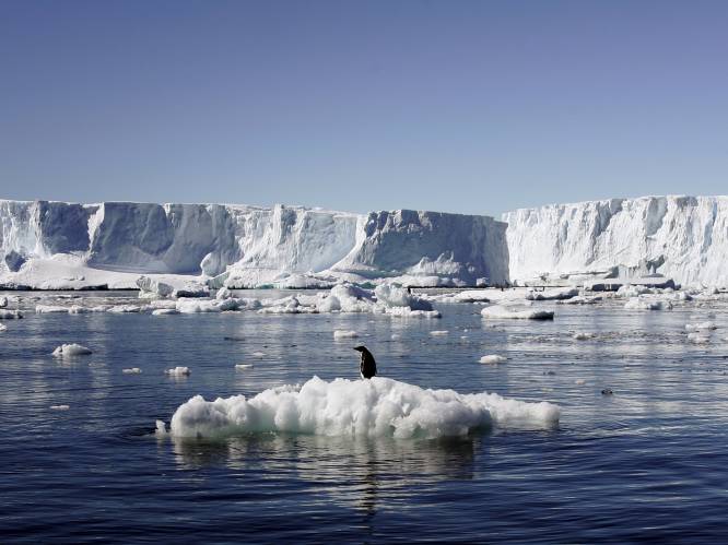 Wetenschappers slaan alarm: “IJs op Antarctica smelt veel sneller dan gedacht”