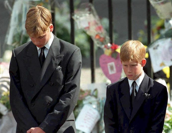 William en Harry op de begrafenis van hun moeder.