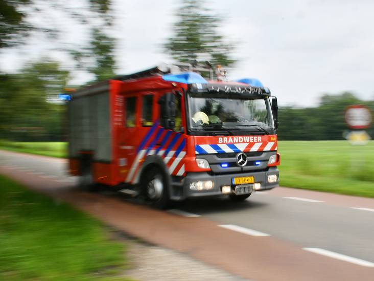 Natuurbranden in Waalre en Budel, vuur al snel onder controle
