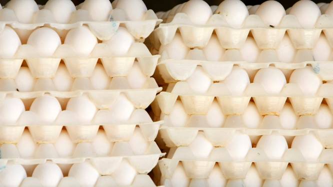 Un boxeur blanchi d’accusations de dopage: une “consommation très élevée d'oeufs” en cause