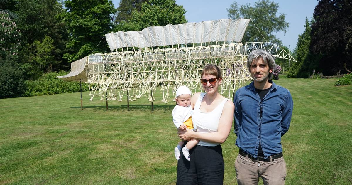 Kunstenaars brengen beweging in park Hof ter Saksen: “Laten inspireren ...