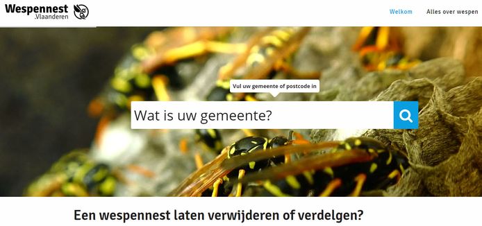 www.wespennest.vlaanderen