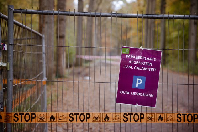 retort Houden Dag Grote dumping chemicaliën in Liesbos bij Etten-Leur: Staatsbosbeheer graaft  tot meter diep grond weg | Etten-Leur | bndestem.nl