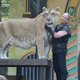 ‘Tiger King’-ster Doc Antle aangeklaagd voor dierenmishandeling