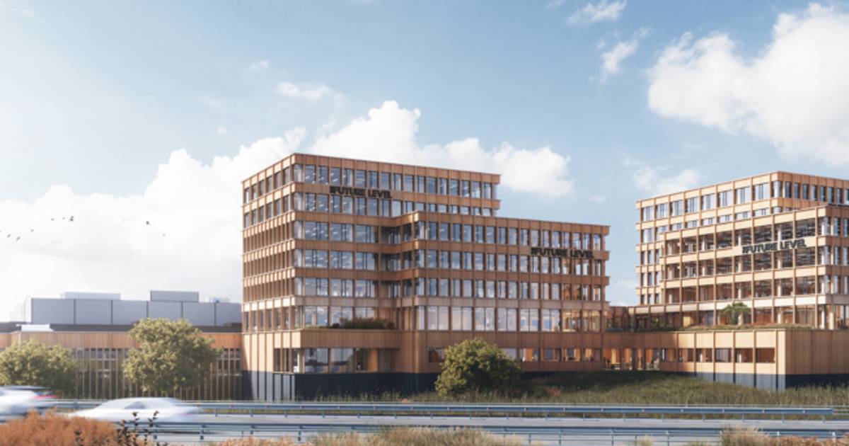 Ekkersrijt krijgt houten blikvanger met the Future Level: ’We bouwen ...
