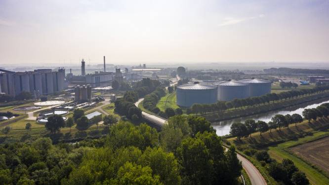 Palletcentrale Moerdijk laaiend op Steenbergen: bouw fabriek op Agro Food Cluster afgeketst