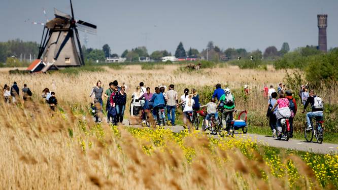 Wereldberoemde molens van Kinderdijk trokken afgelopen jaar 1 miljoen mensen