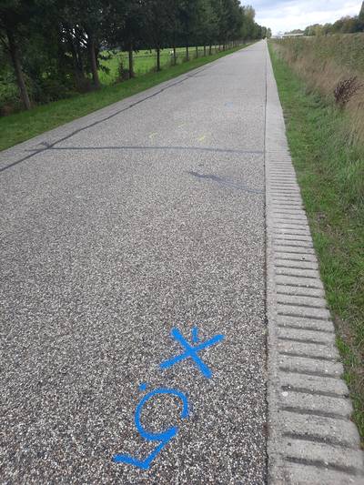 Aanhouding na dodelijk ongeval; bewoners Kanaalweg Bornerbroek maken zich zorgen