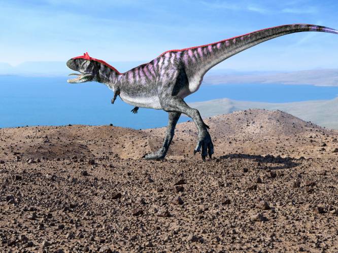 Paleontologen identificeren dinosaurus dankzij AI-analyse van tanden