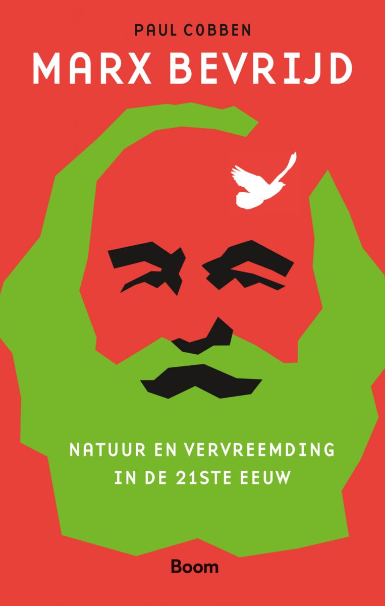 null Beeld Boom