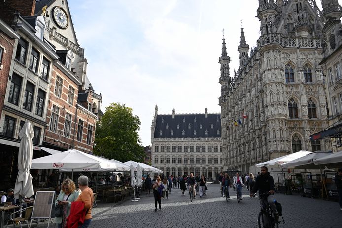 Een archiefbeeld van de Grote Markt in Leuven, waar de steekpartij plaatsvond.