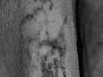 Oudste tatoeage ter wereld ontdekt op Egyptische mummie die al 100 jaar in museum lag