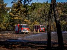 Brandweer rukt met meerdere bluswagens uit voor bosbrand in Waalre