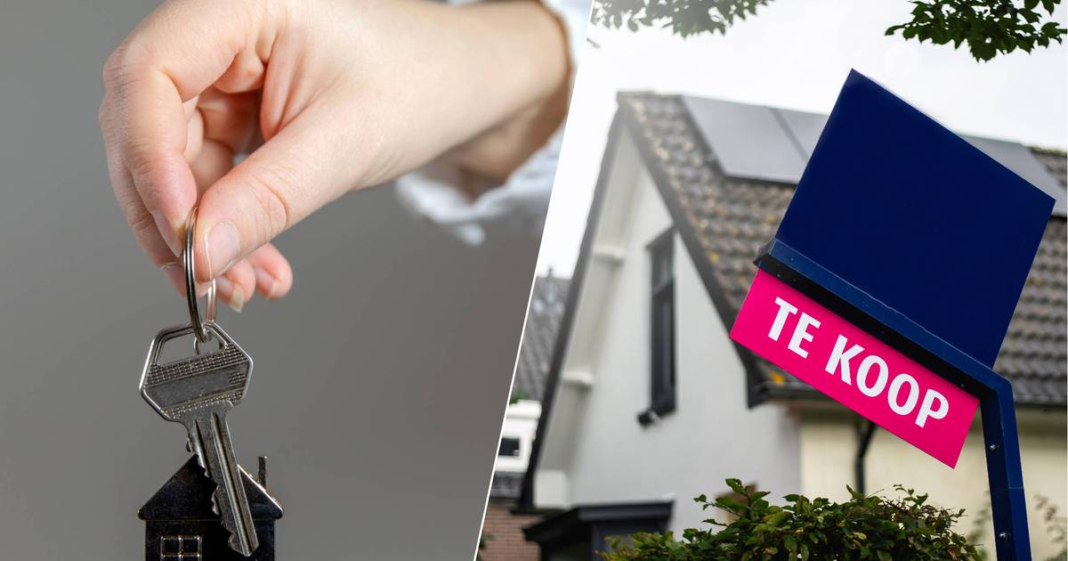 Ze koopt het appartement zonder voorbehoud van bouwkundige keuring, maar dat had ze beter wel