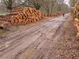 Onderhoud in de bossen tussen Oosterbeek en Doorwerth. ‘De zware bosmachines die met de gerooide bomen slepen, laten diepe sporen achter.’