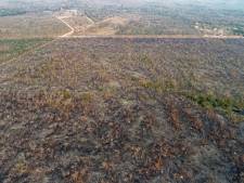Amazonebranden leven enorm op social media: ‘Pray for the Amazon, longen van de aarde’