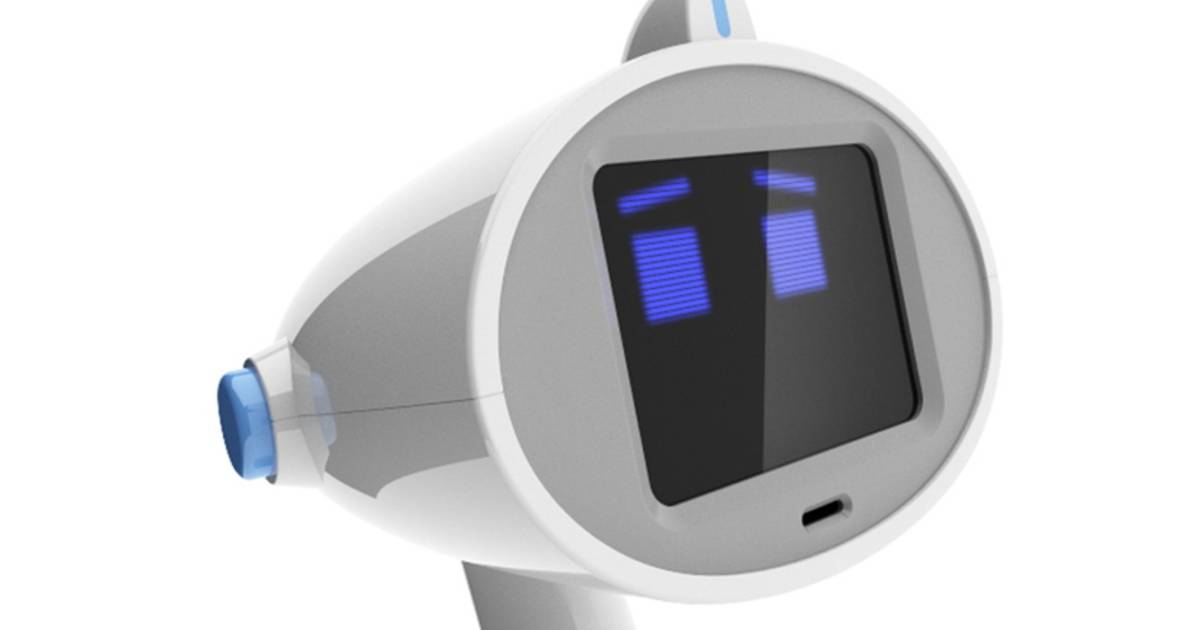 Robot Luna neemt in 2021 het huishouden over | Economie | AD.nl