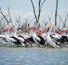 Dit ziet u vanavond op tv en op Netflix