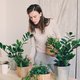 Quiz: welke plant moet jouw volgende aanwinst worden?