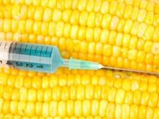 Le Connecticut va étiqueter les OGM