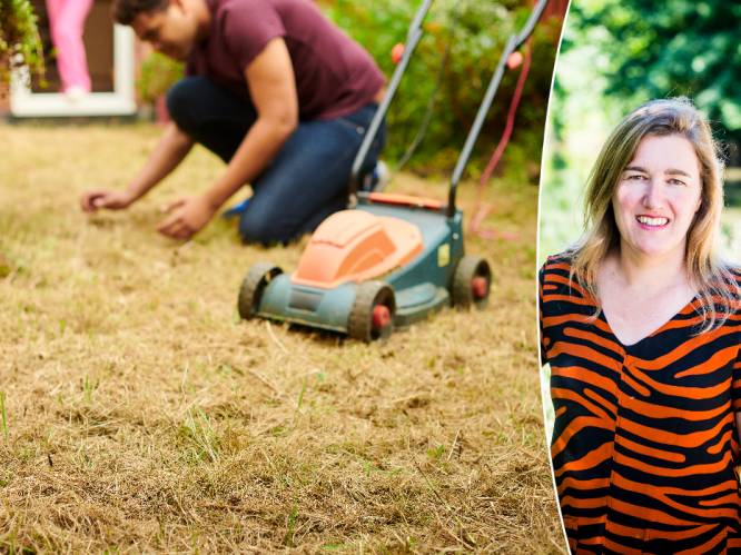 "Te veel tuinen zijn betegeld": expert legt uit waarom er weer een droogte dreigt